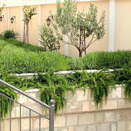 Vila Luxury Queen With Private Pool Near Dubrovnik